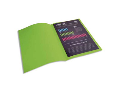 EXACOMPTA - Lot de 100 chemises rock's 210g vert - M76993