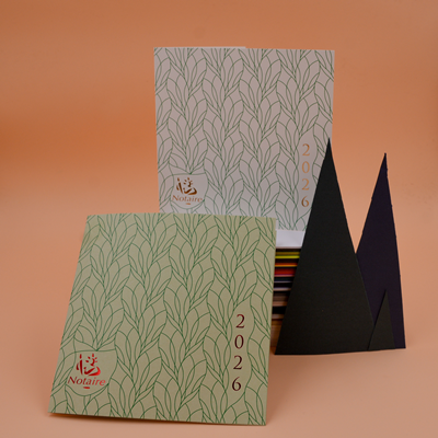Carte de voeux 26D