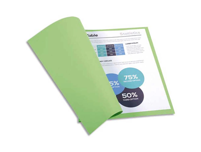 EXACOMPTA - lot de 100 chemises forever carte recyclée 220g vert - M77035