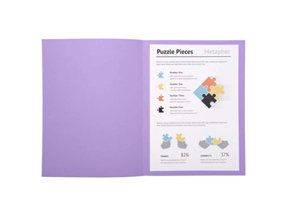 EXACOMPTA - lot de 100 chemises Lilas - M52273