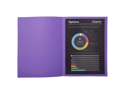 EXACOMPTA - Lot de 100 chemises rock's 210g violet - M51907