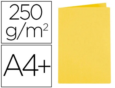 EXACOMPTA - lot de 100 chemises